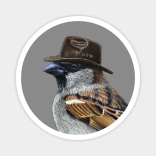 House sparrow Magnet